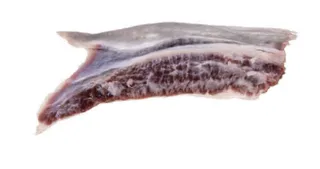 tuna-ear