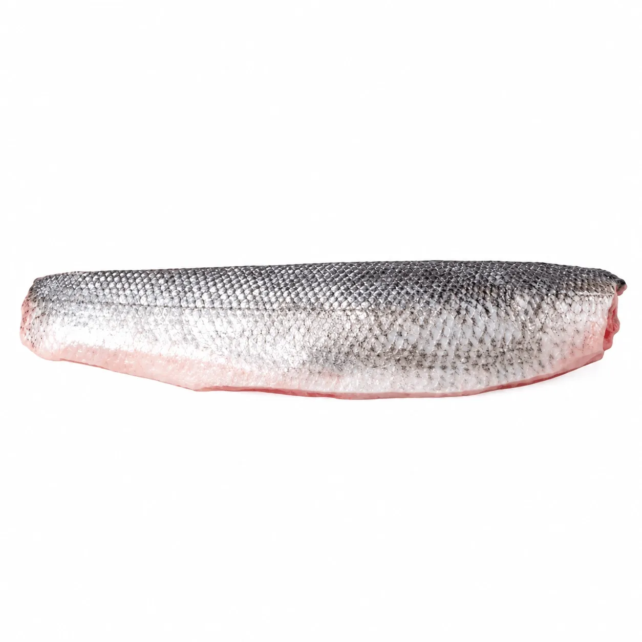 Zeebaarsfilet 140-180 g/st. Turkije