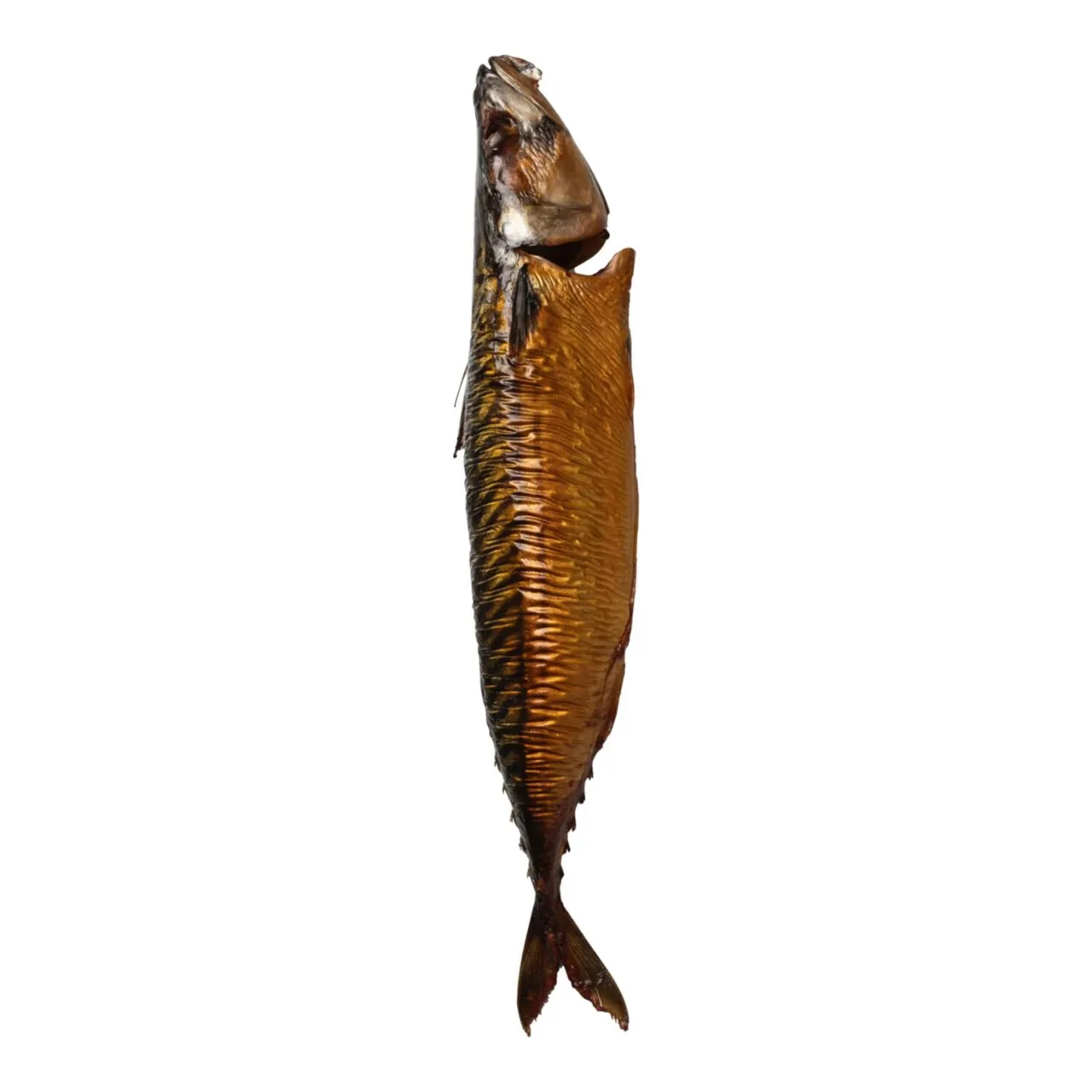 Gerookte makreel heel