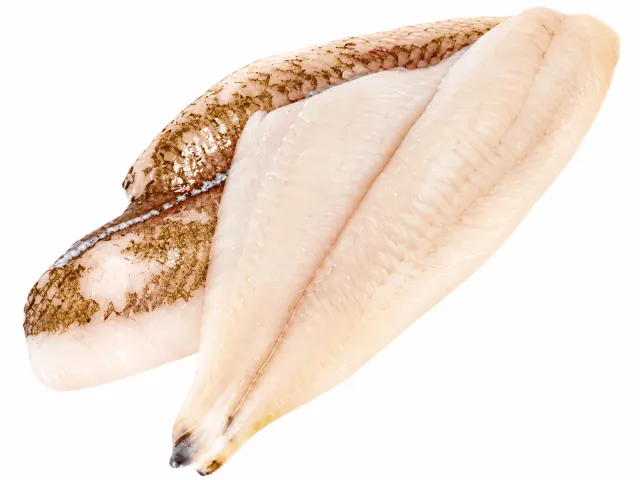 Scholfilet zonder vel