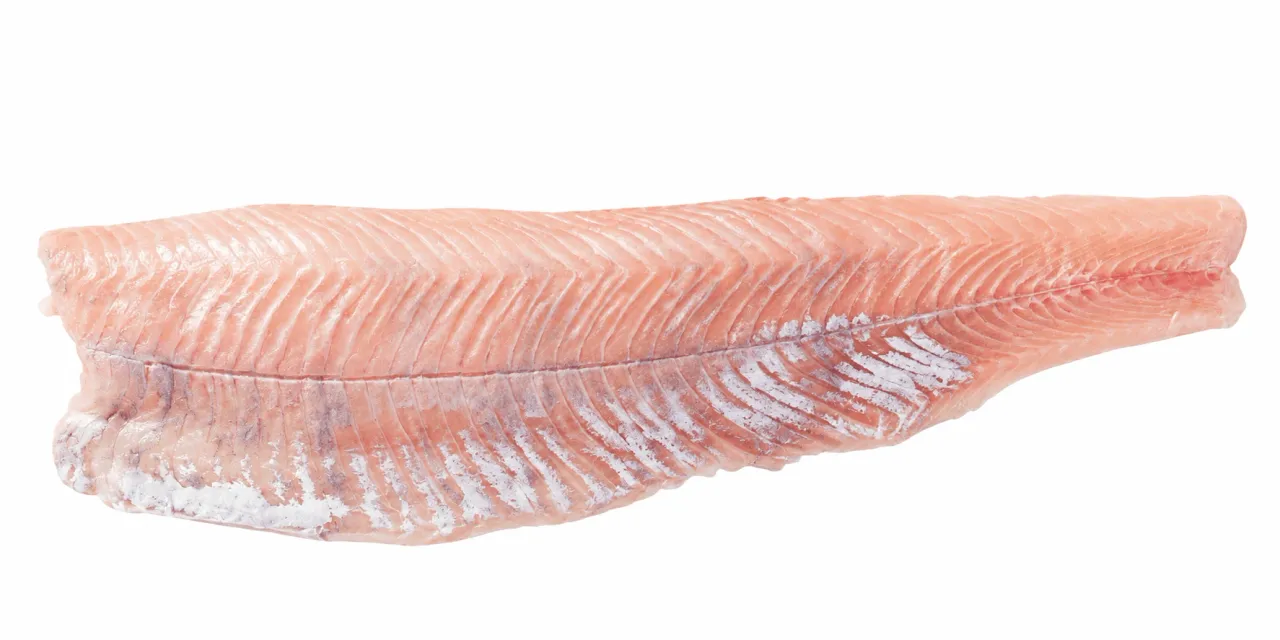 Forelfilet zonder vel 80-120 g/st. gram
