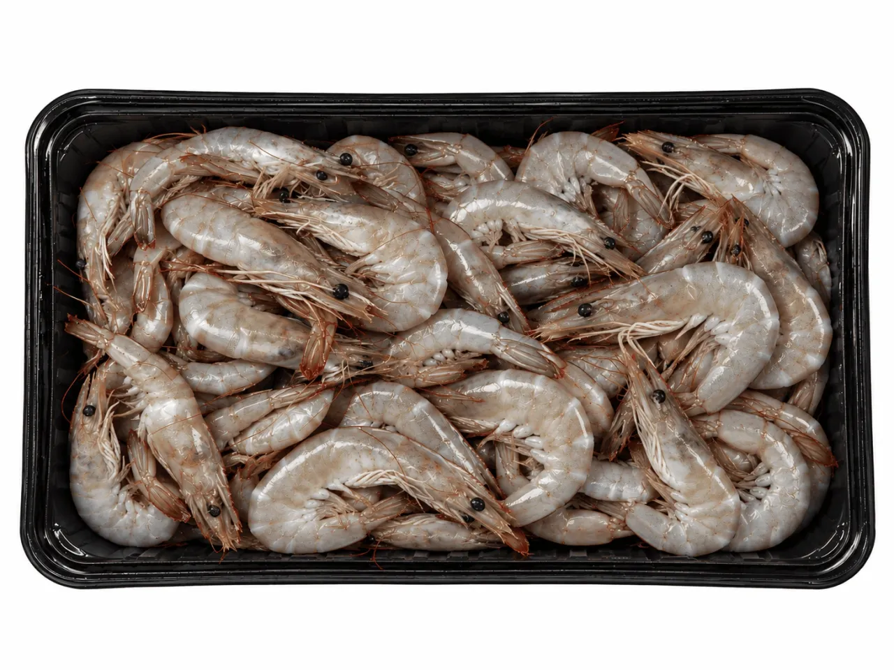 Gamba rauw 0-10