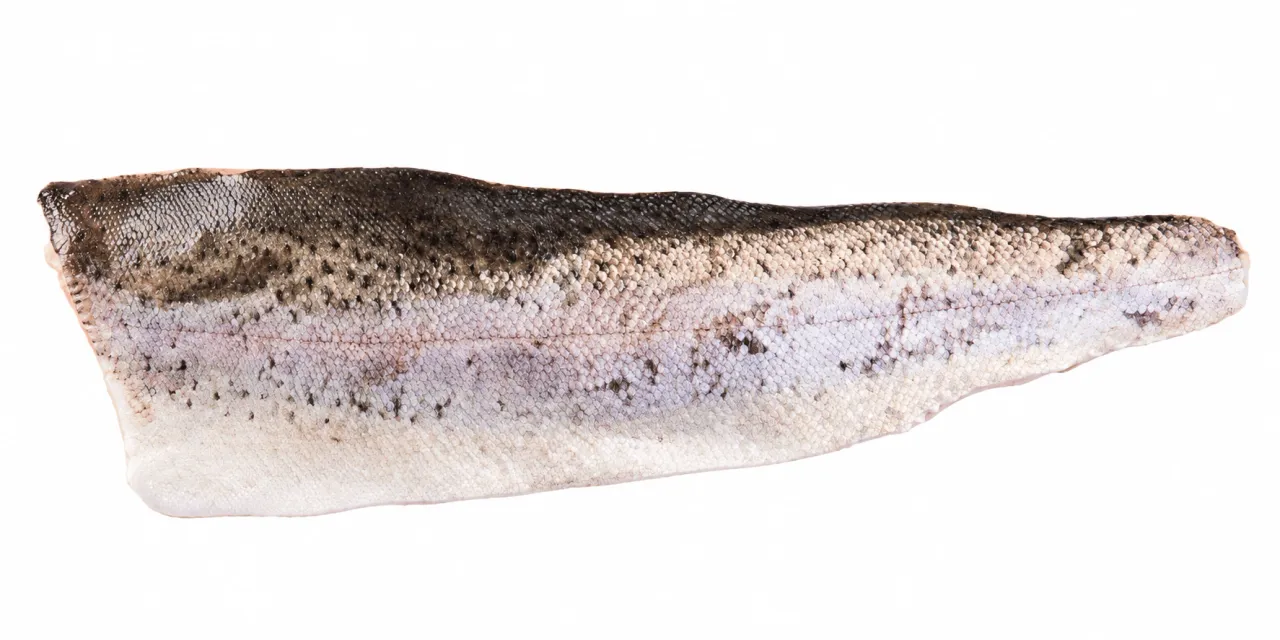 Forelfilet met vel 80-120 g/st. gram