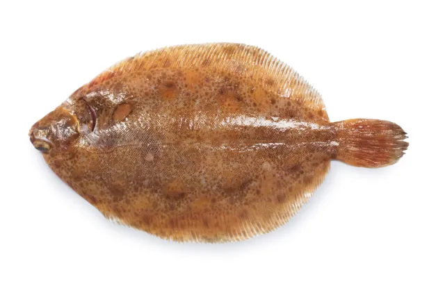 Tongschar