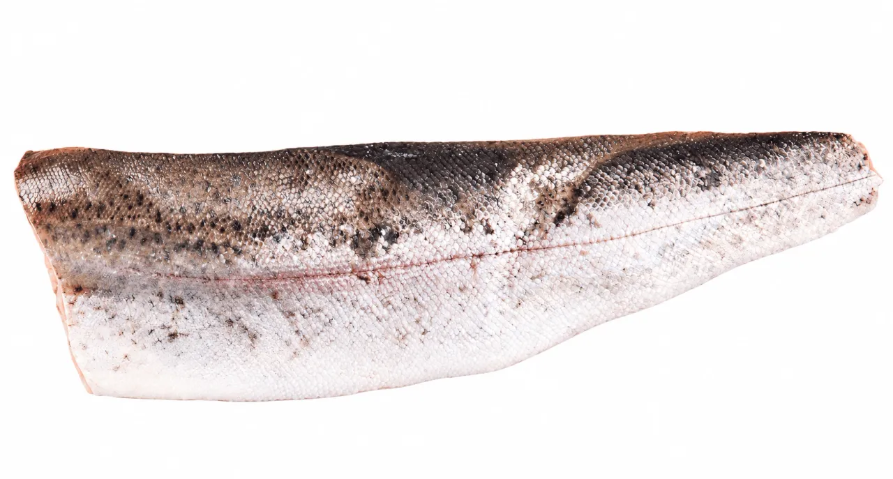 Zalmforel filet met vel 200-300 g/st.