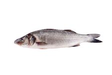 Zeebaars