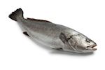 Corvina I Ombervis