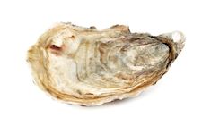 Oesters