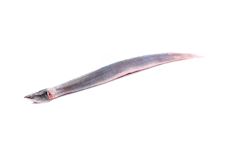 Eel