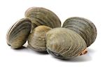 Schelpjes