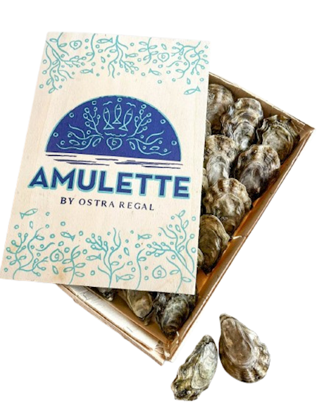 The Amulette Oyster