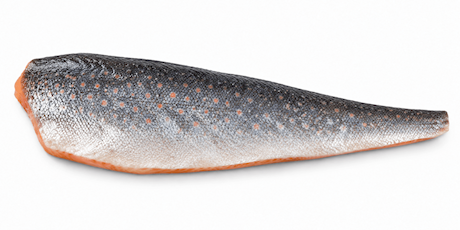 Arctic Char fillet 200-400 g/pc.