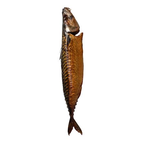 Gerookte makreel heel