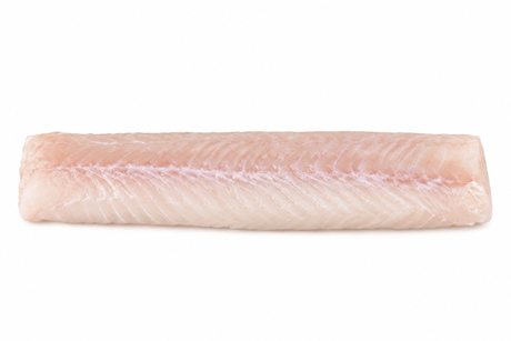 Ling loin skinless 200-600 g/pc.