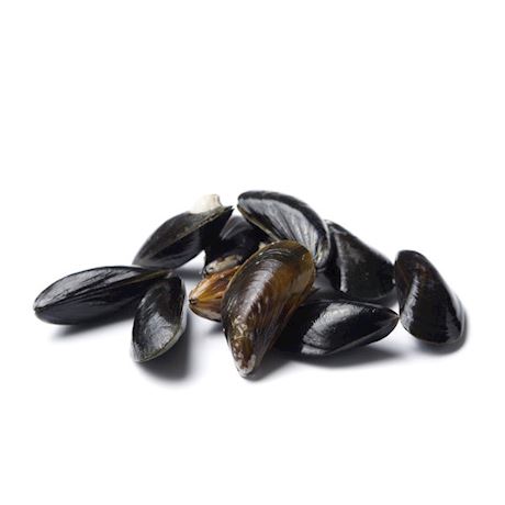 Bouchot mosseltjes vers zak 1 kilo