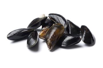 Zeeuwse Goudmerk mosselen bak 2kg