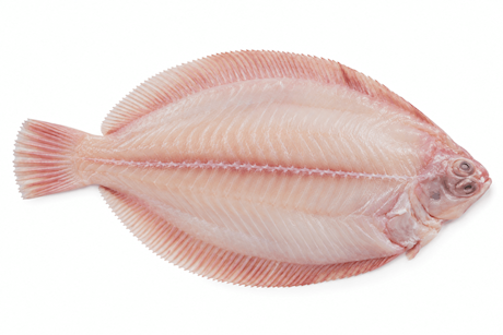 Lemonsole 500-1000 gr/pc.