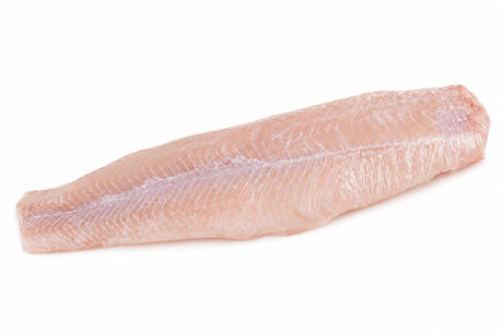Catfish fillet skinless 200-400 g/pc.
